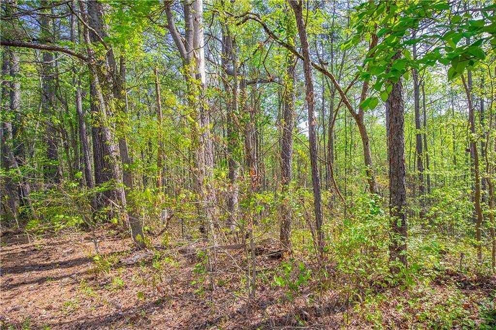 0.778 Acres of Residential Land for Sale in Fairburn, Georgia