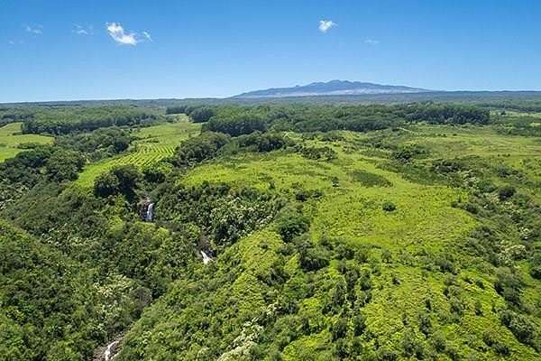 3,137.172 Acres of Land for Sale in Hakalau, Hawaii