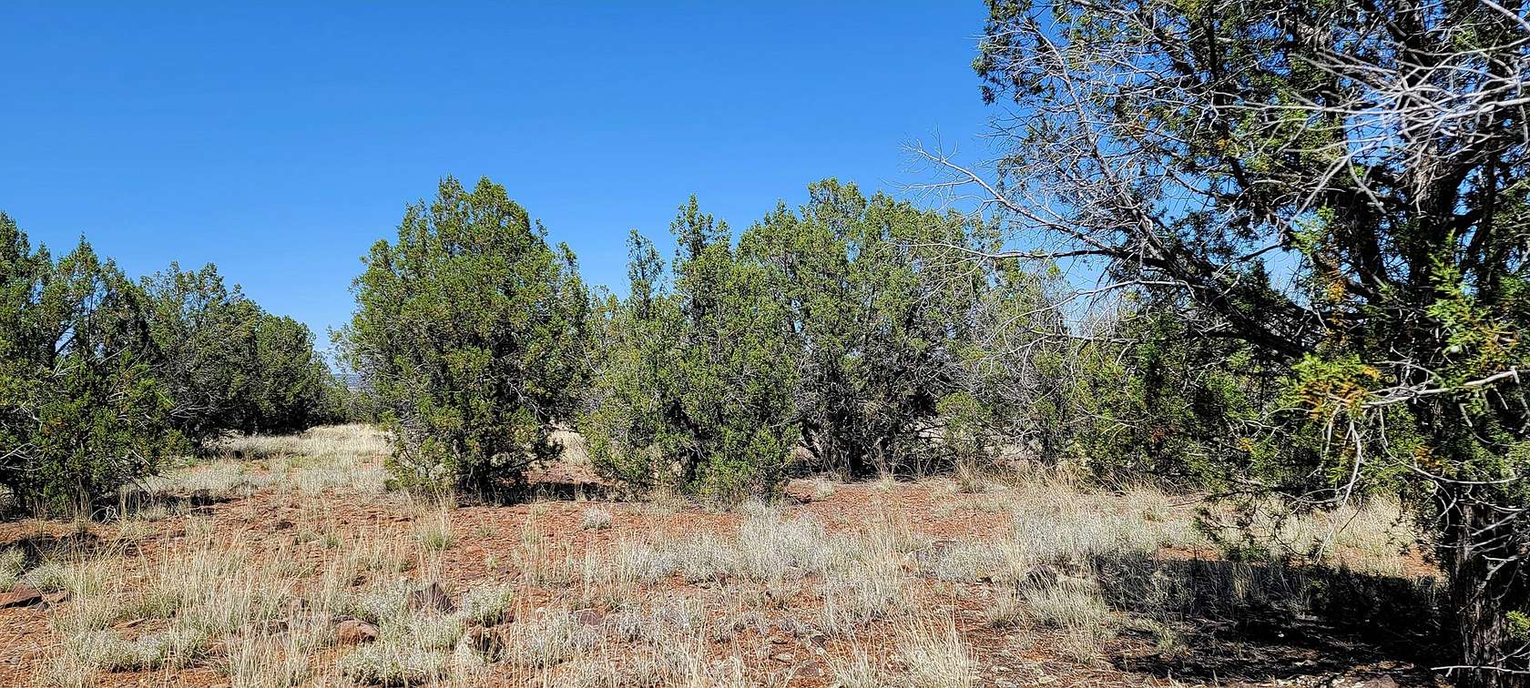 12.95 Acres of Agricultural Land for Sale in Ash Fork, Arizona