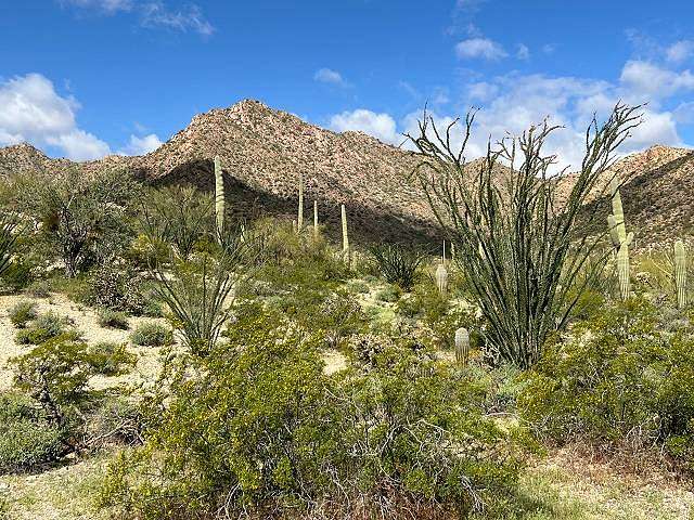 128 Acres of Recreational Land for Sale in Ajo, Arizona
