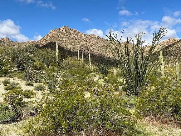 128.25 Acres of Recreational Land for Sale in Ajo, Arizona