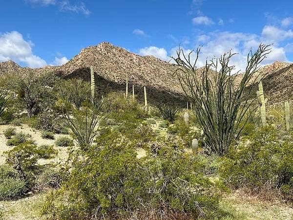 128 Acres of Recreational Land for Sale in Ajo, Arizona