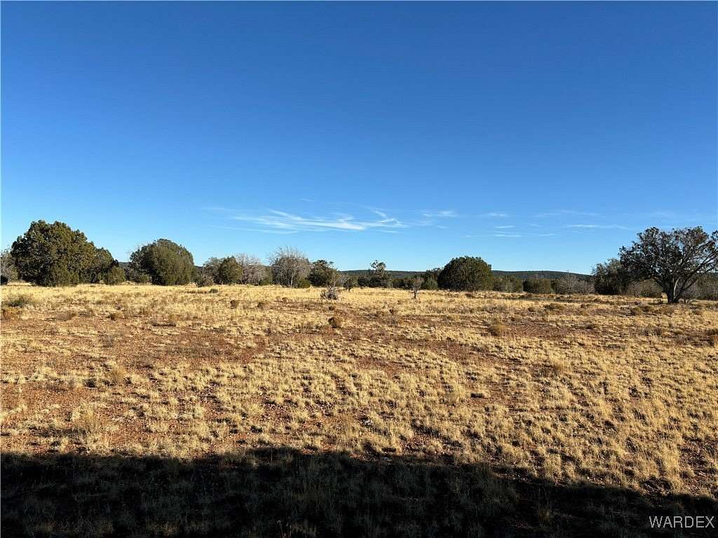 20 Acres of Agricultural Land for Sale in Seligman, Arizona