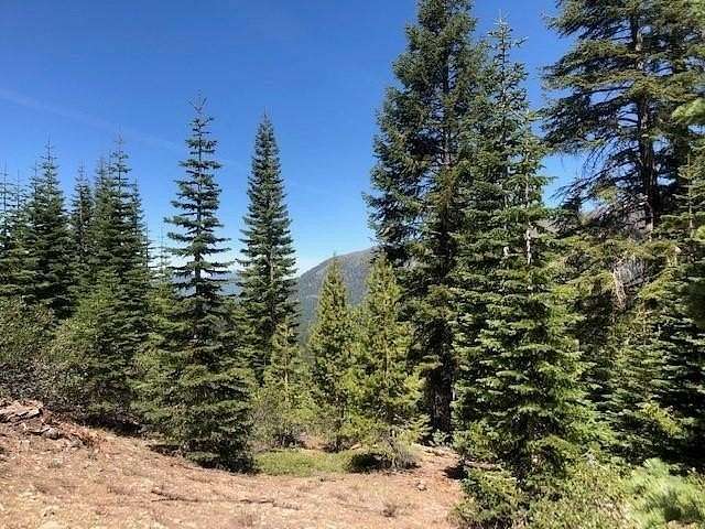 40 Acres of Land for Sale in Macdoel, California