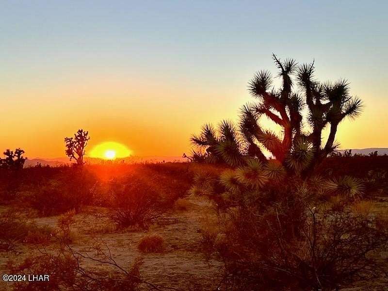 39.97 Acres of Land for Sale in Yucca, Arizona