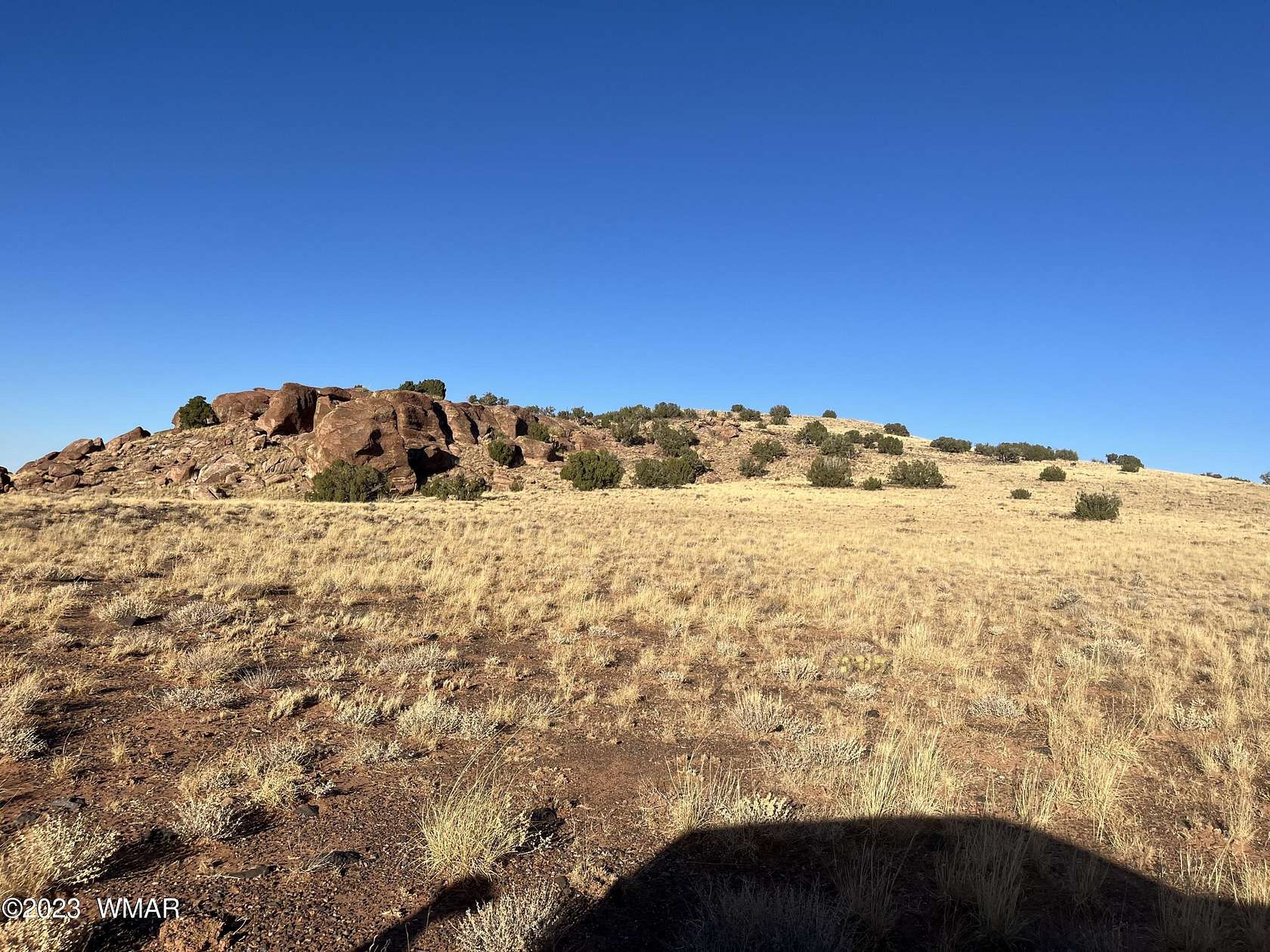 128.15 Acres of Agricultural Land for Sale in Concho, Arizona