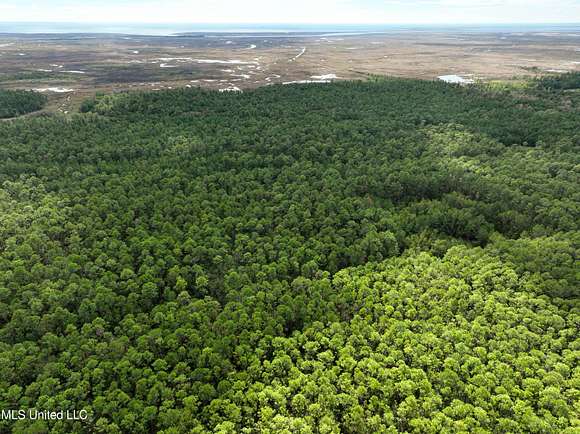 827 Acres of Land for Sale in Bay St. Louis, Mississippi