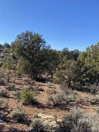 39.98 Acres of Recreational Land for Sale in Fredonia, Arizona