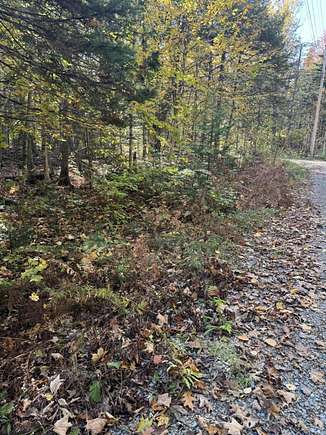 3 Acres of Residential Land for Sale in Newport, Maine