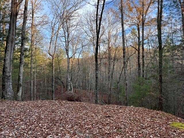 Residential Land for Sale in Murphy, North Carolina