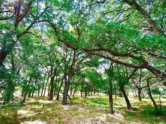 63 Acres of Land for Sale in Perrin, Texas