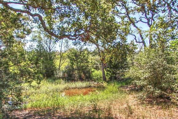 31.268 Acres of Land for Sale in Flatonia, Texas