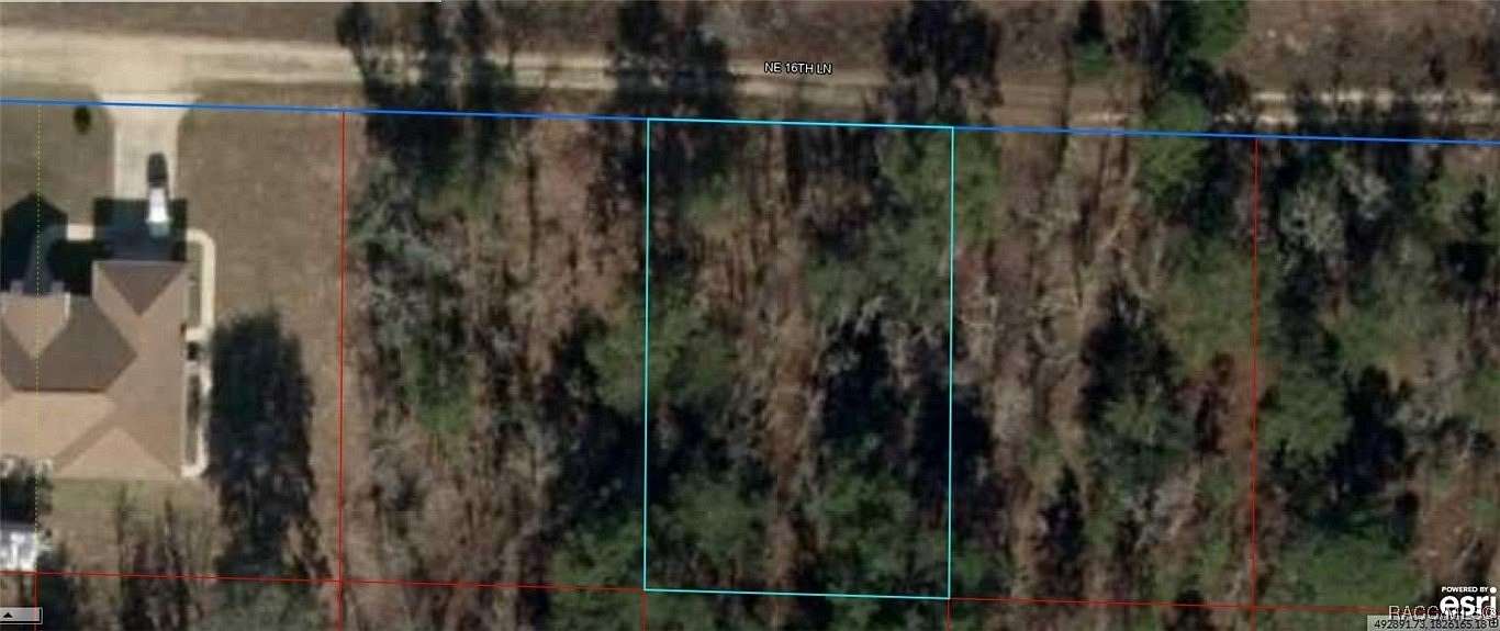 0.23 Acres of Land for Sale in Williston, Florida