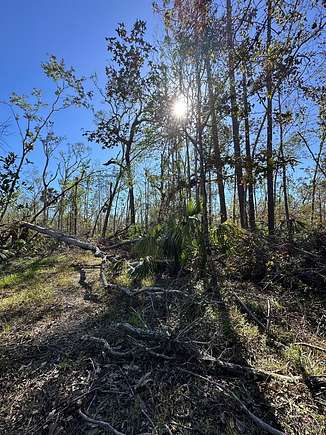 0.32 Acres of Land for Sale in Steinhatchee, Florida