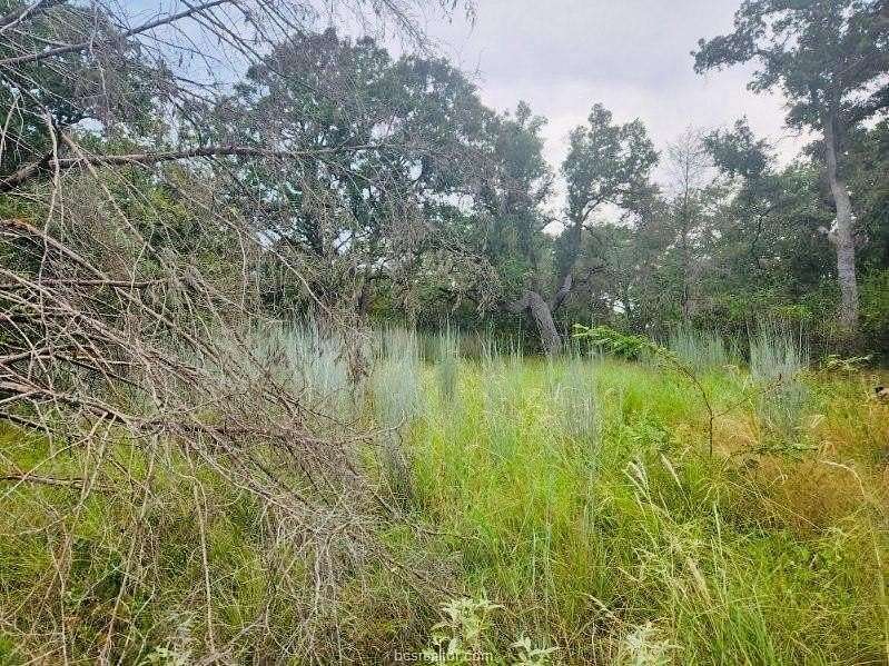 0.246 Acres of Land for Sale in Somerville, Texas