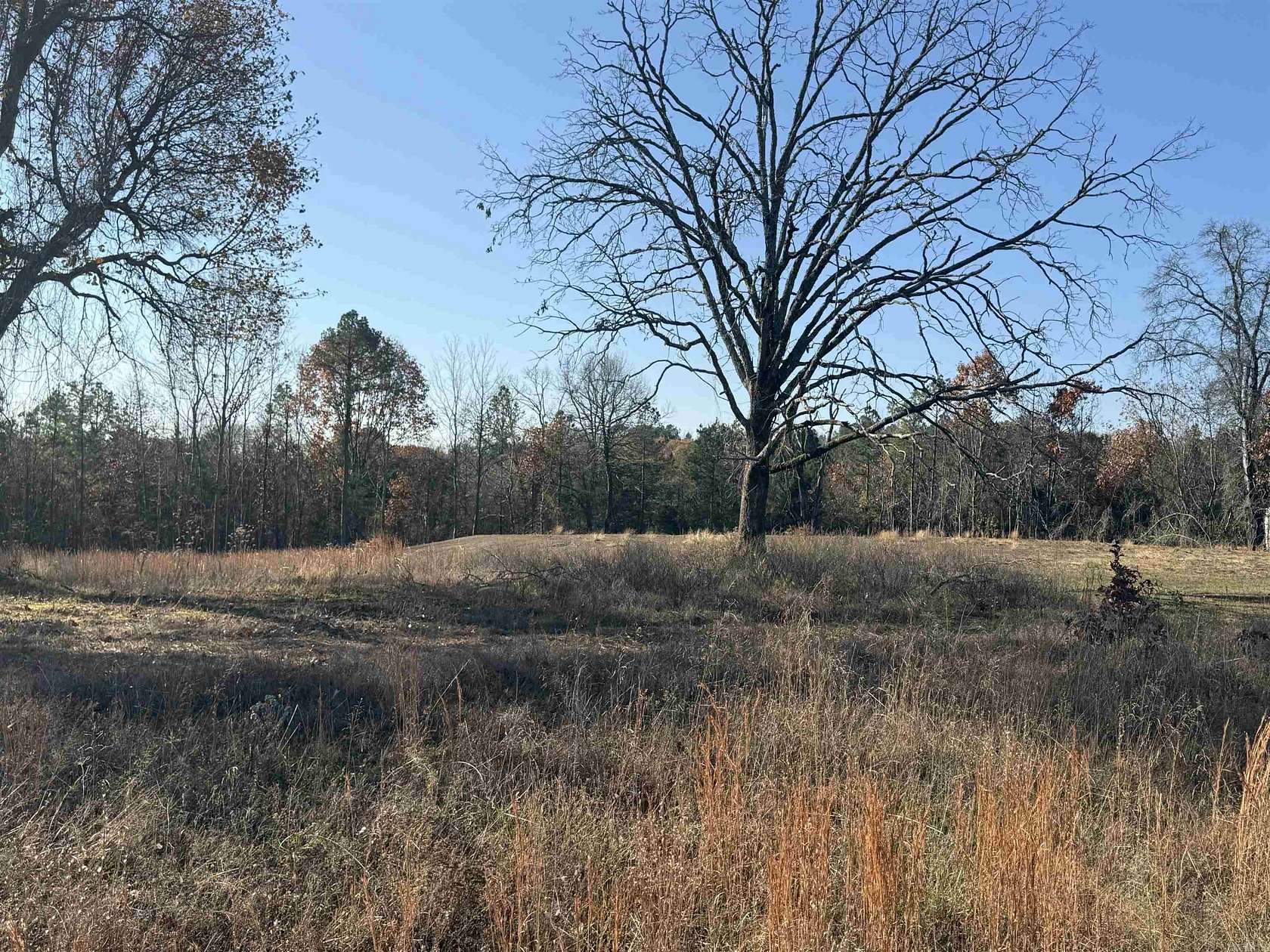 3 Acres of Residential Land for Sale in Clinton, Arkansas