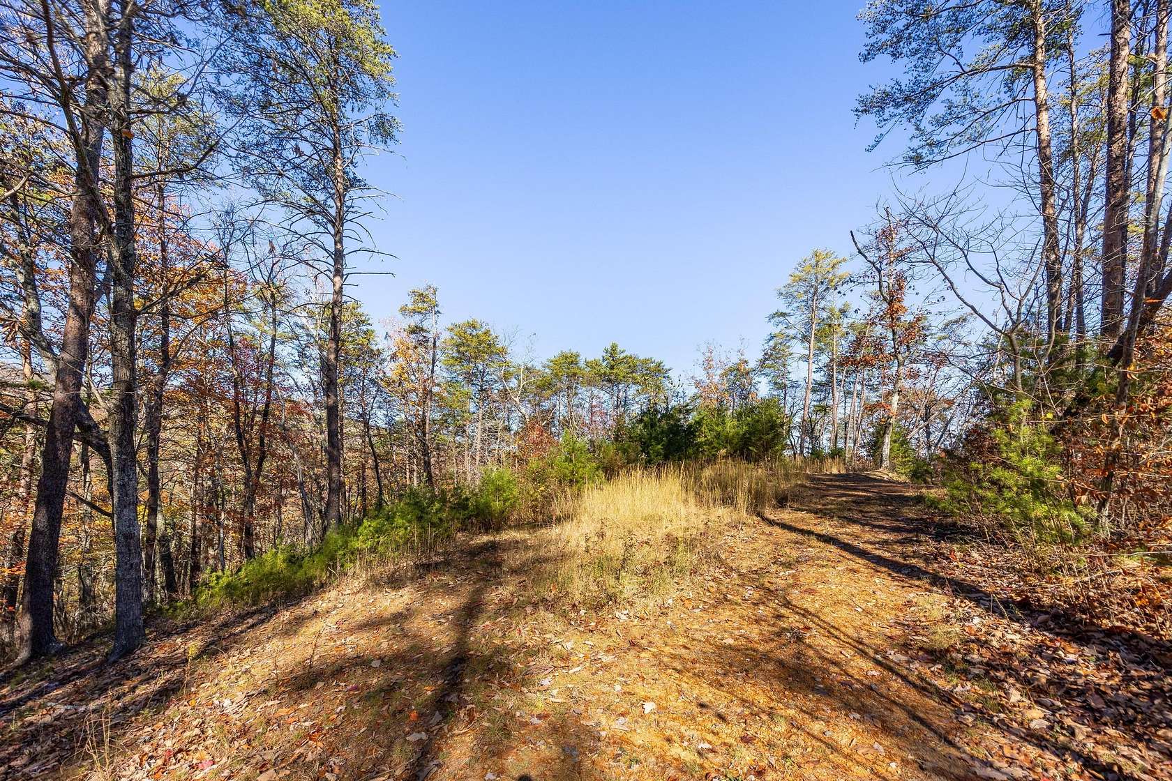 3.49 Acres of Residential Land for Sale in Flintstone, Georgia