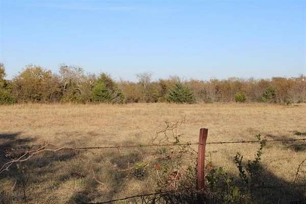 27.8 Acres of Land for Sale in Wills Point, Texas