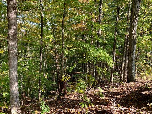 0.96 Acres of Land for Sale in Denniston, Kentucky