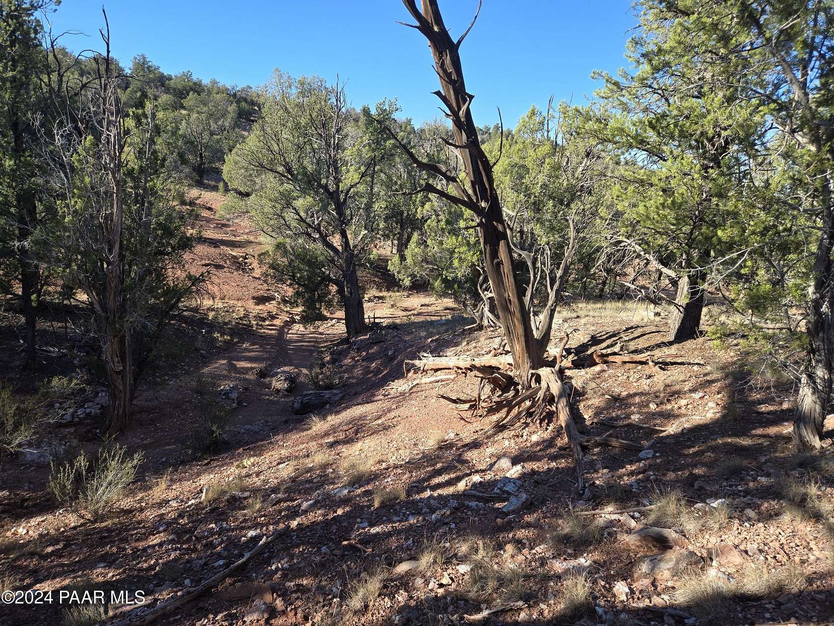 39.02 Acres of Recreational Land for Sale in Ash Fork, Arizona