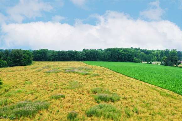 11.5 Acres of Land for Sale in Rootstown, Ohio