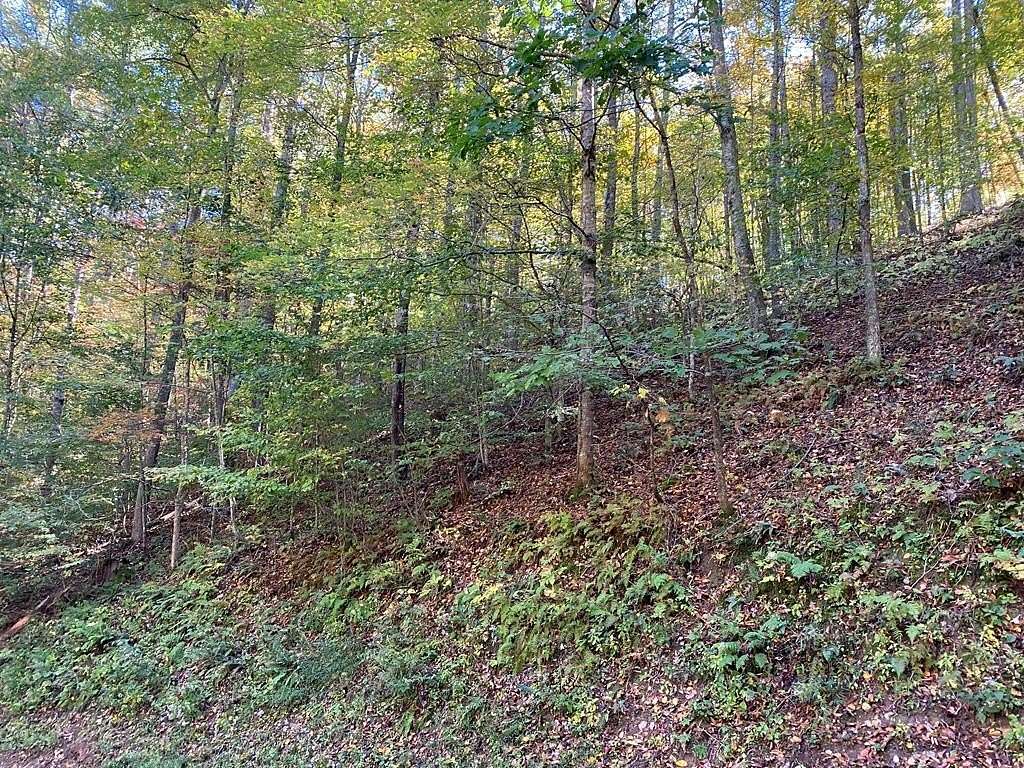 2.11 Acres of Land for Sale in Butler, Tennessee