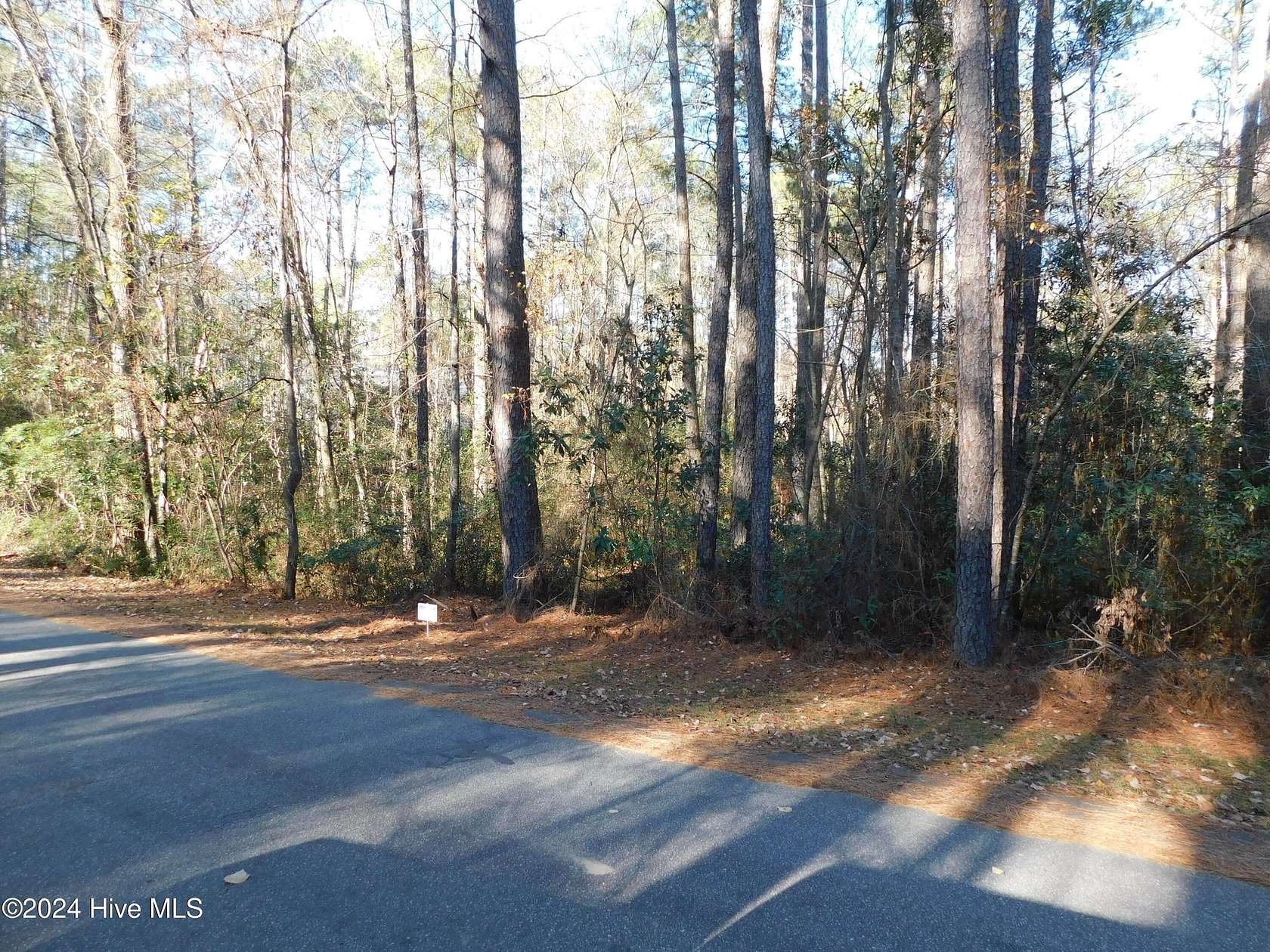 0.48 Acres of Residential Land for Sale in Wagram, North Carolina