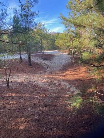 7 Acres of Residential Land for Sale in Accomac, Virginia