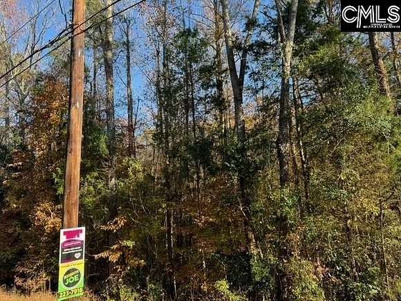 1 Acre of Residential Land for Sale in Lexington, South Carolina