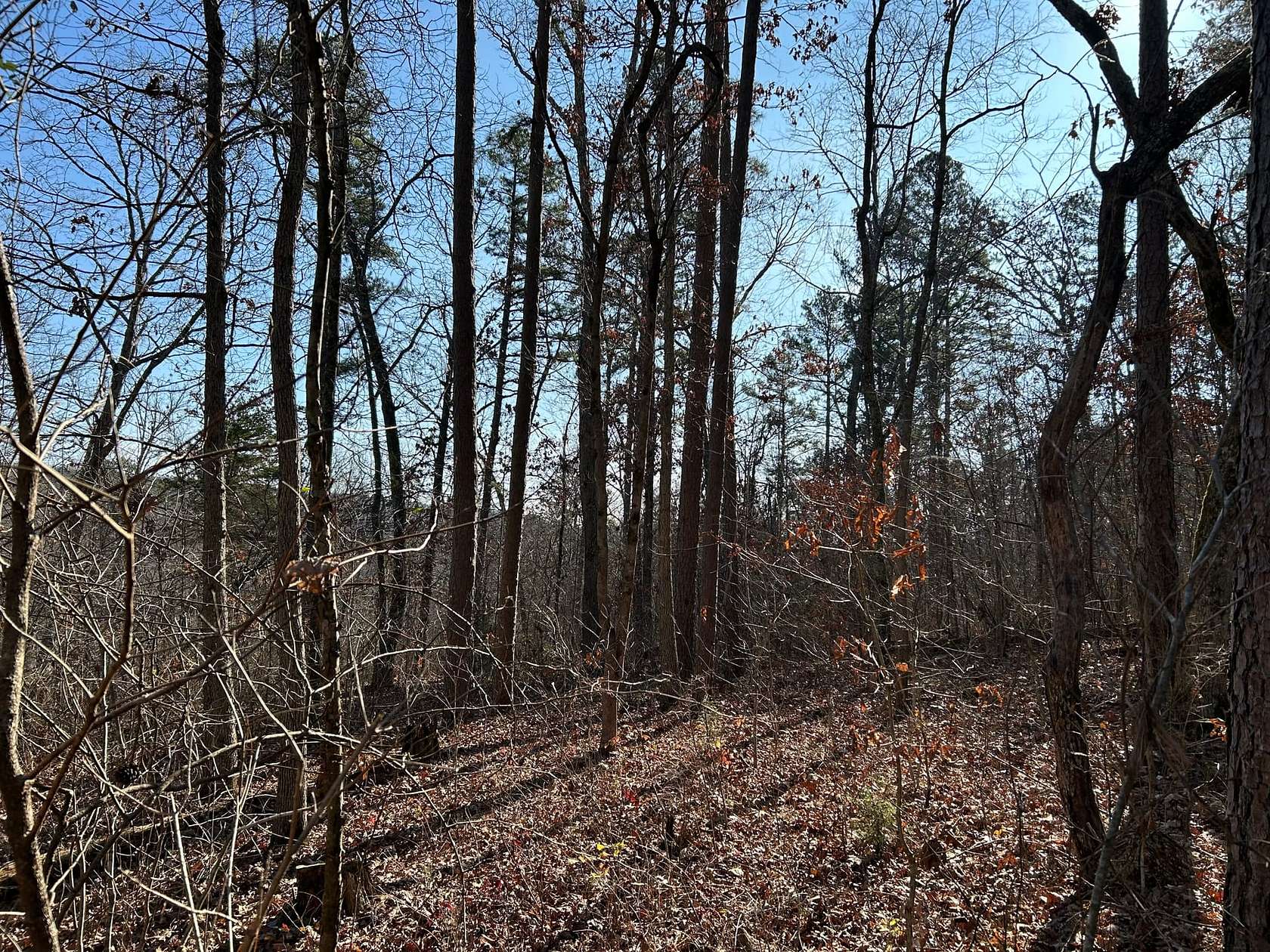 19 Acres of Recreational Land for Sale in Licking, Missouri