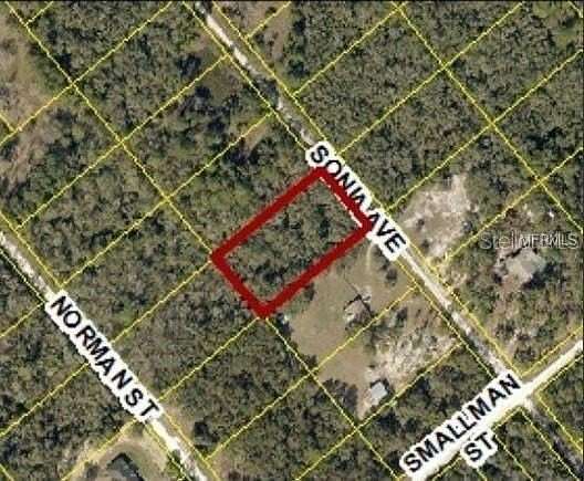 1.16 Acres of Land for Sale in Webster, Florida