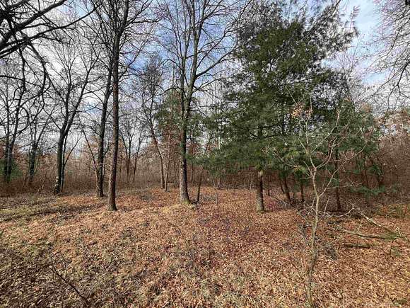 7.49 Acres of Residential Land for Sale in Necedah, Wisconsin