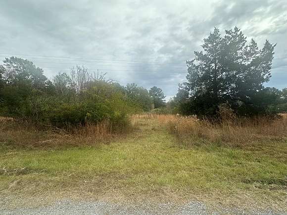 3 Acres of Residential Land for Sale in Bogue Chitto, Mississippi