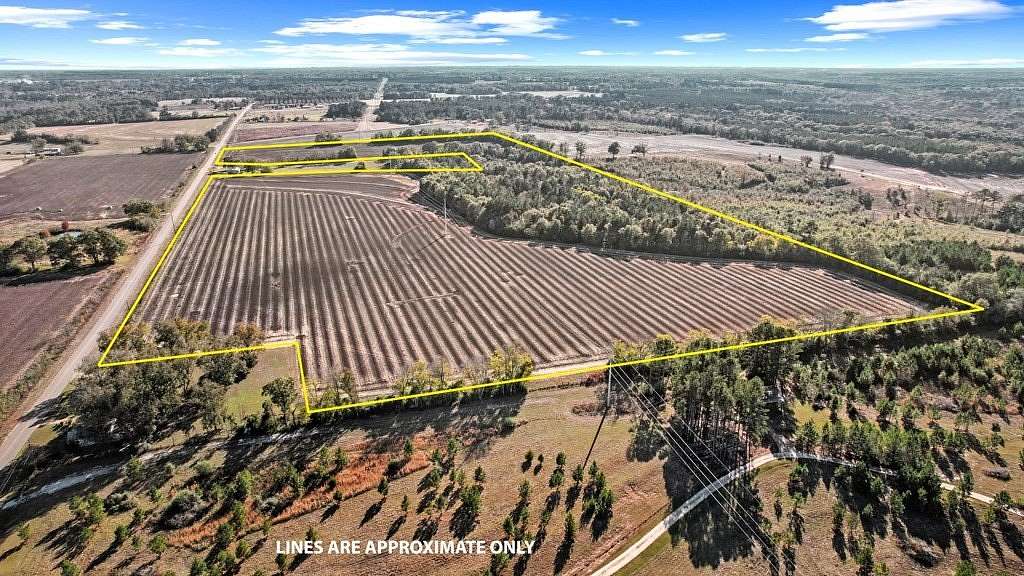 73 Acres of Recreational Land for Sale in Webb, Alabama