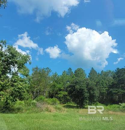 3 Acres of Land for Sale in Robertsdale, Alabama