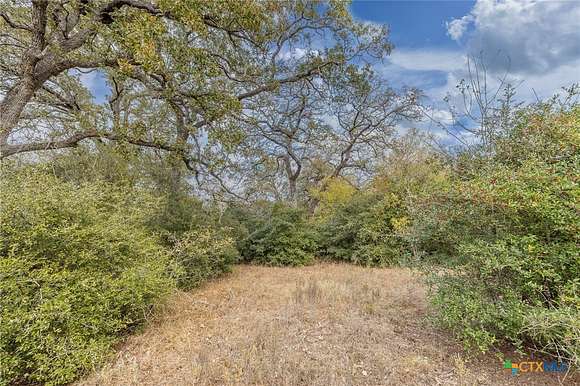 32.64 Acres of Recreational Land for Sale in Gonzales, Texas