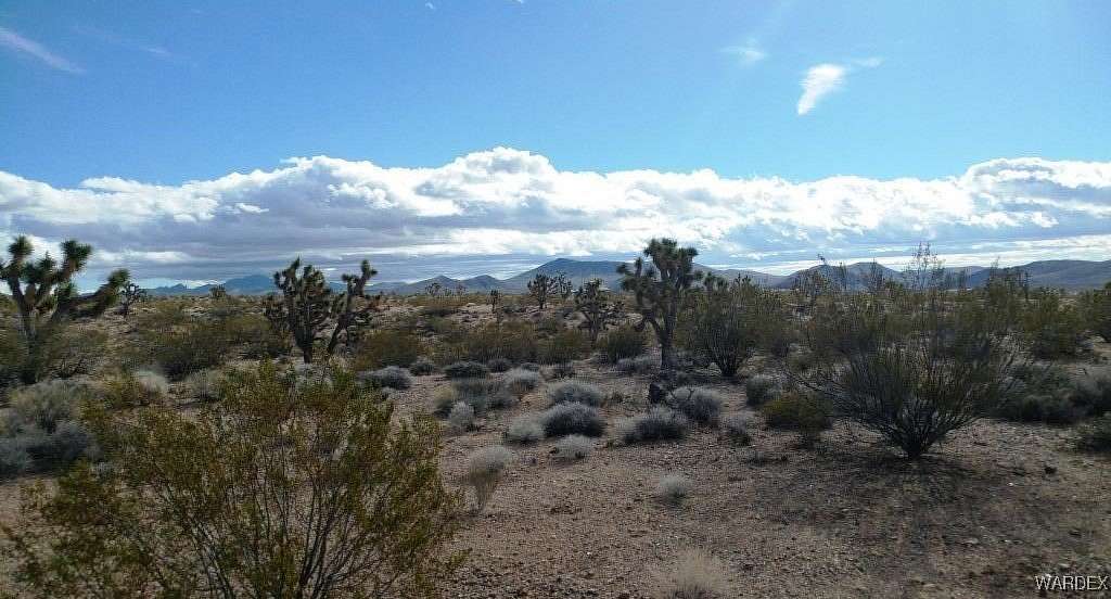 1.29 Acres of Residential Land for Sale in White Hills, Arizona