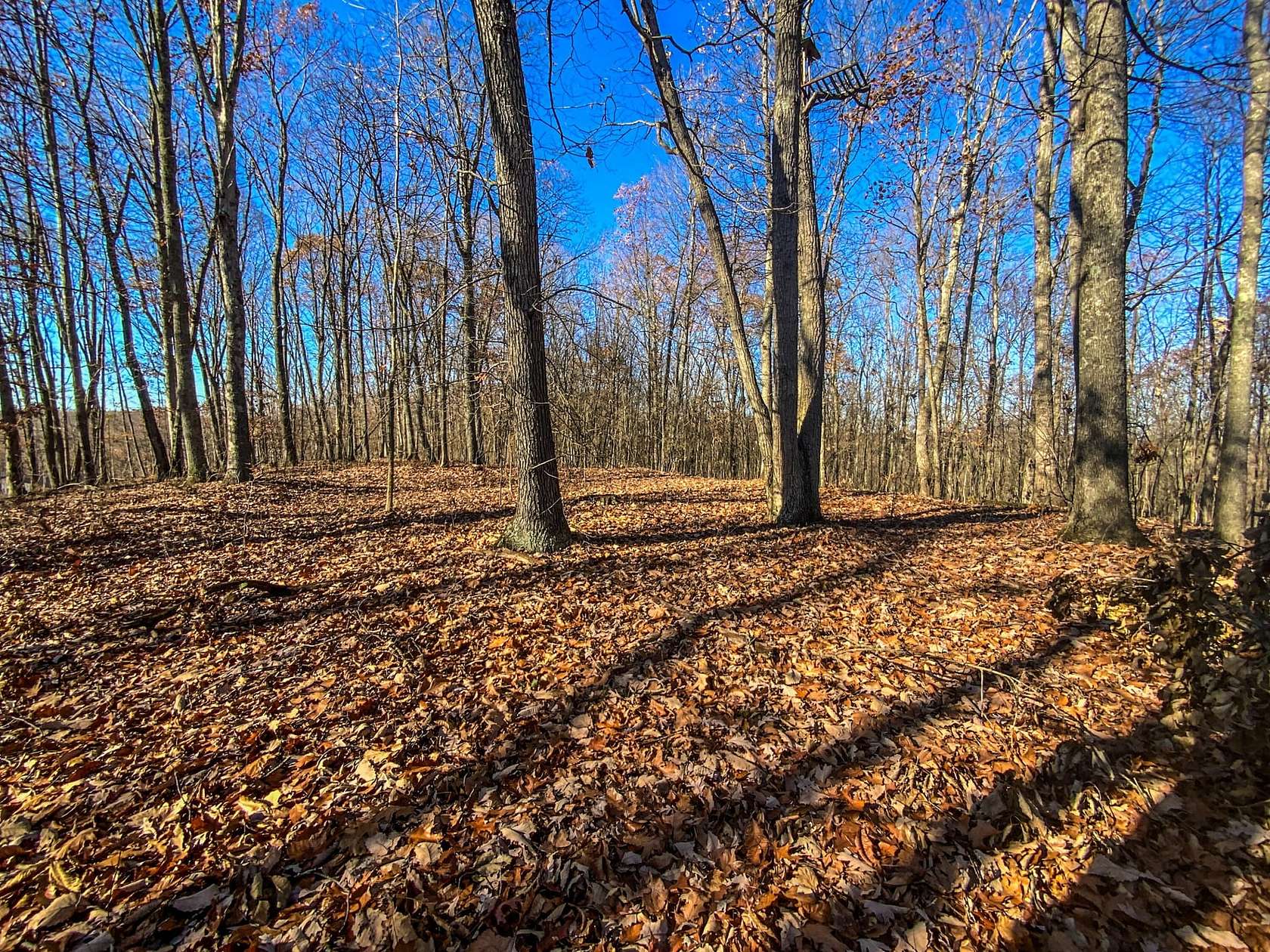 5 Acres of Recreational Land for Sale in Waverly, Ohio