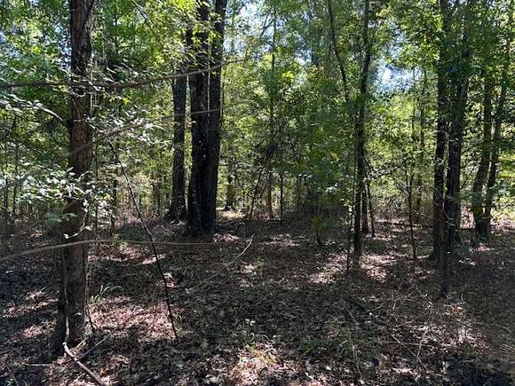 145 Acres of Recreational Land & Farm for Sale in Meadville, Mississippi