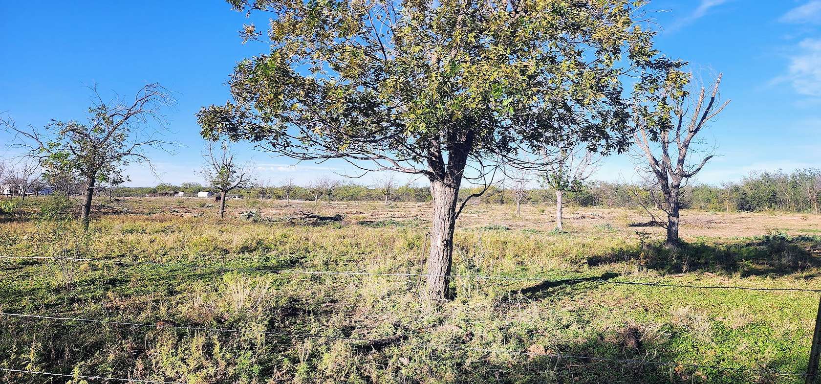 3 Acres of Agricultural Land for Sale in Mertzon, Texas