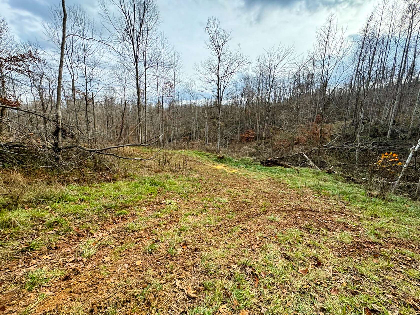 55 Acres of Recreational Land for Sale in Gallipolis, Ohio