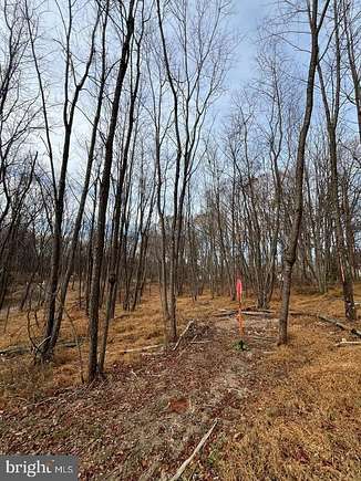 3.8 Acres of Residential Land with Home for Sale in Mount Airy, Maryland