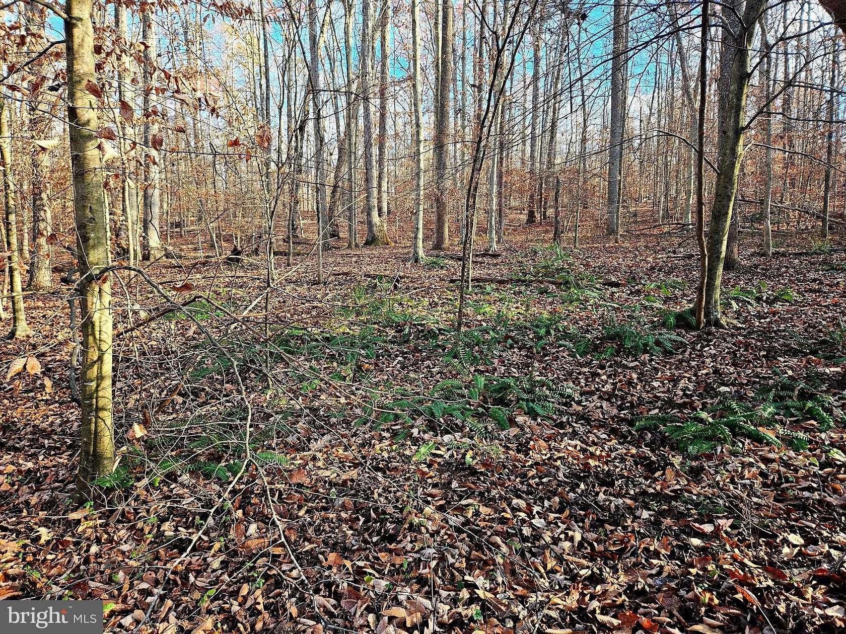 30.79 Acres of Recreational Land for Sale in Unionville, Virginia