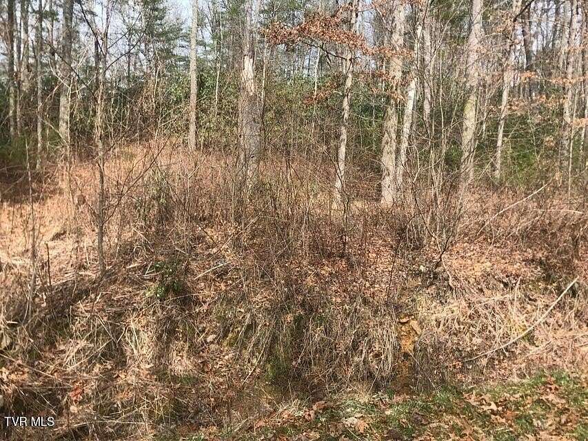 3.77 Acres of Residential Land for Sale in Mountain City, Tennessee