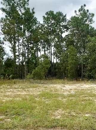 0.25 Acres of Residential Land for Sale in Ocala, Florida