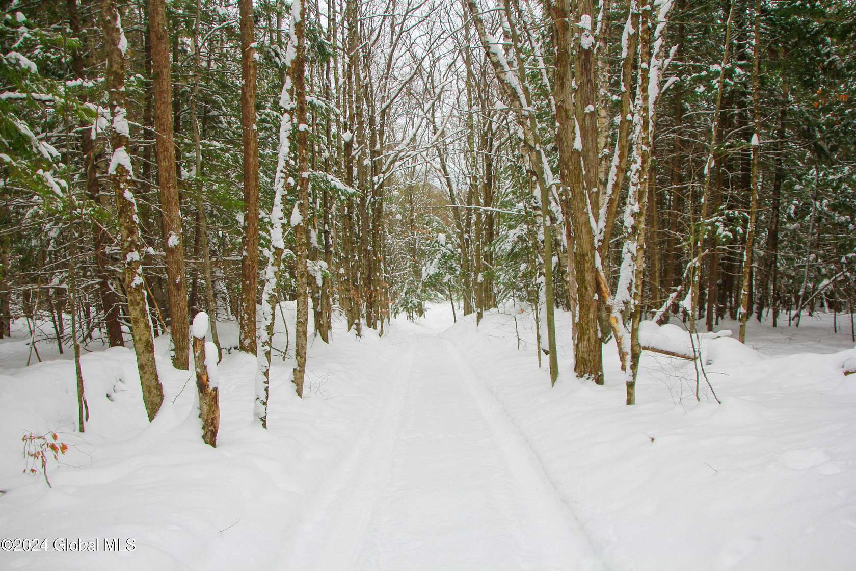 157.9 Acres of Recreational Land for Sale in Broome Town, New York