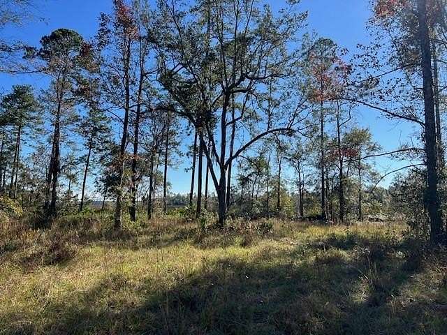 1.09 Acres of Residential Land for Sale in Brunswick, Georgia