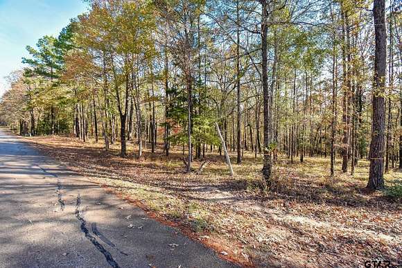 1.577 Acres of Residential Land for Sale in Tyler, Texas