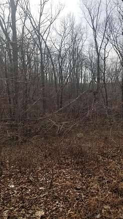 0.56 Acres of Residential Land for Sale in Holladay, Tennessee