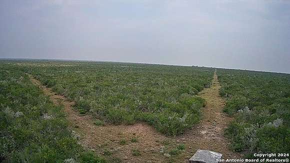 72.49 Acres of Recreational Land & Farm for Sale in Benavides, Texas